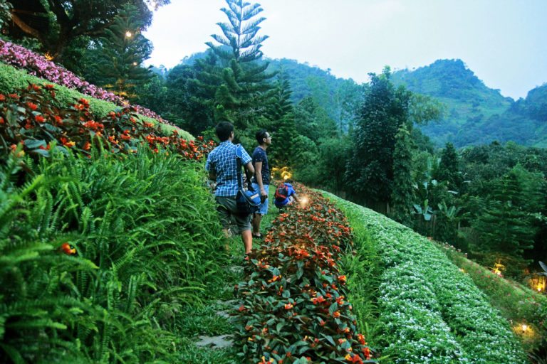Terrazas de Flores Botanical Garden: Busay’s Romantic Hideaway