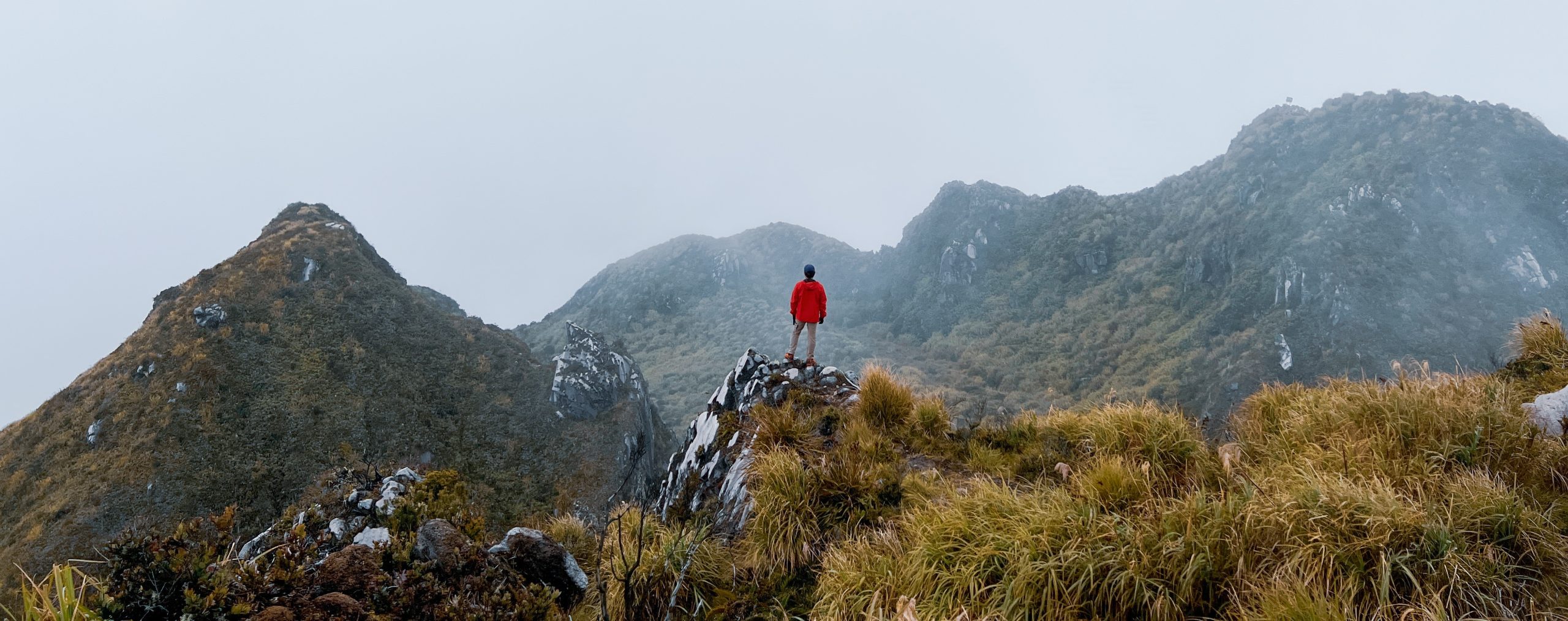 CLIMBING MOUNT APO (DAY 3) : MIST, MUD, LONG DESCENT, AND A LOST HIKER